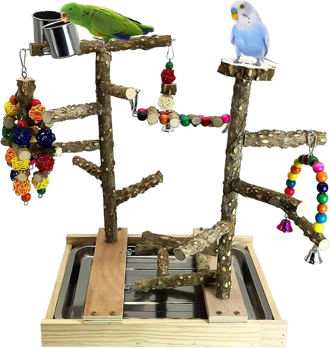 Breathable Tfwadmx Bird Playground Natural Wood Bird Play Stands Parrot Perch Stand Authentic