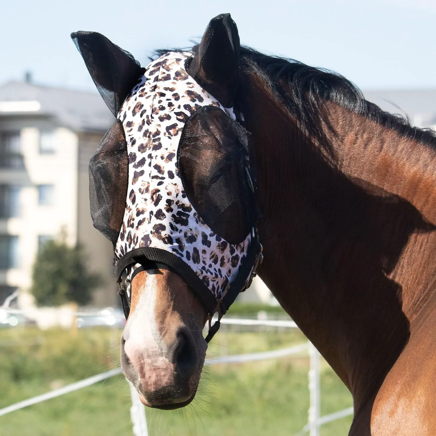 Professional Harrison Howard Super Comfort Stretchy Fly Mask Large Eye Space with UV Protection Soft on Skin with Breathability Leopard Print Full Size Expertly Made