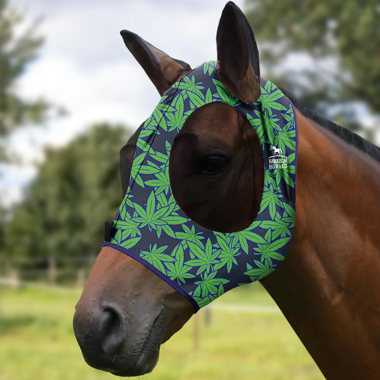 High-Quality Harrison Howard Super Comfort Stretchy Fly Mask Large Eye Space with UV Protection Soft on Skin with Breathability Live Leaf S Premium