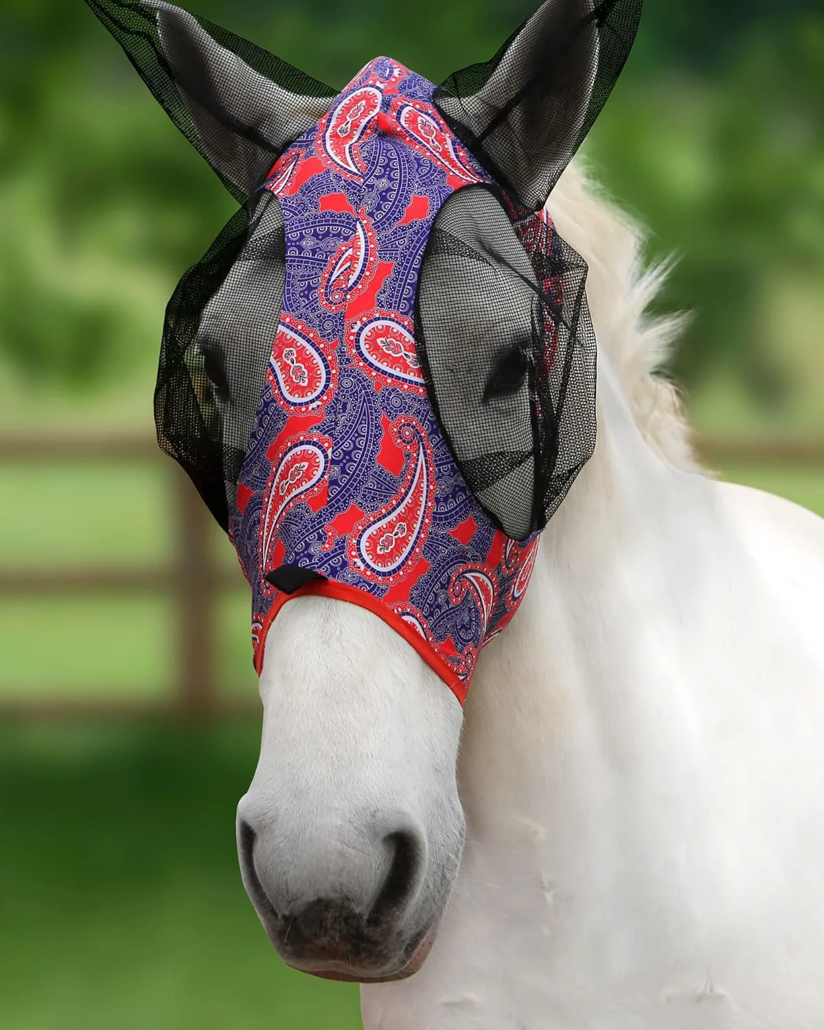 Lightweight Harrison Howard Super Comfort Stretchy Fly Mask Large Eye Space with UV Protection Soft on Skin with Breathability Orange Paisley M Cob Contemporary