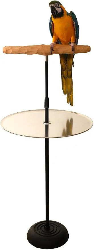 Powerful Parrot Training Perch Stand Innovative