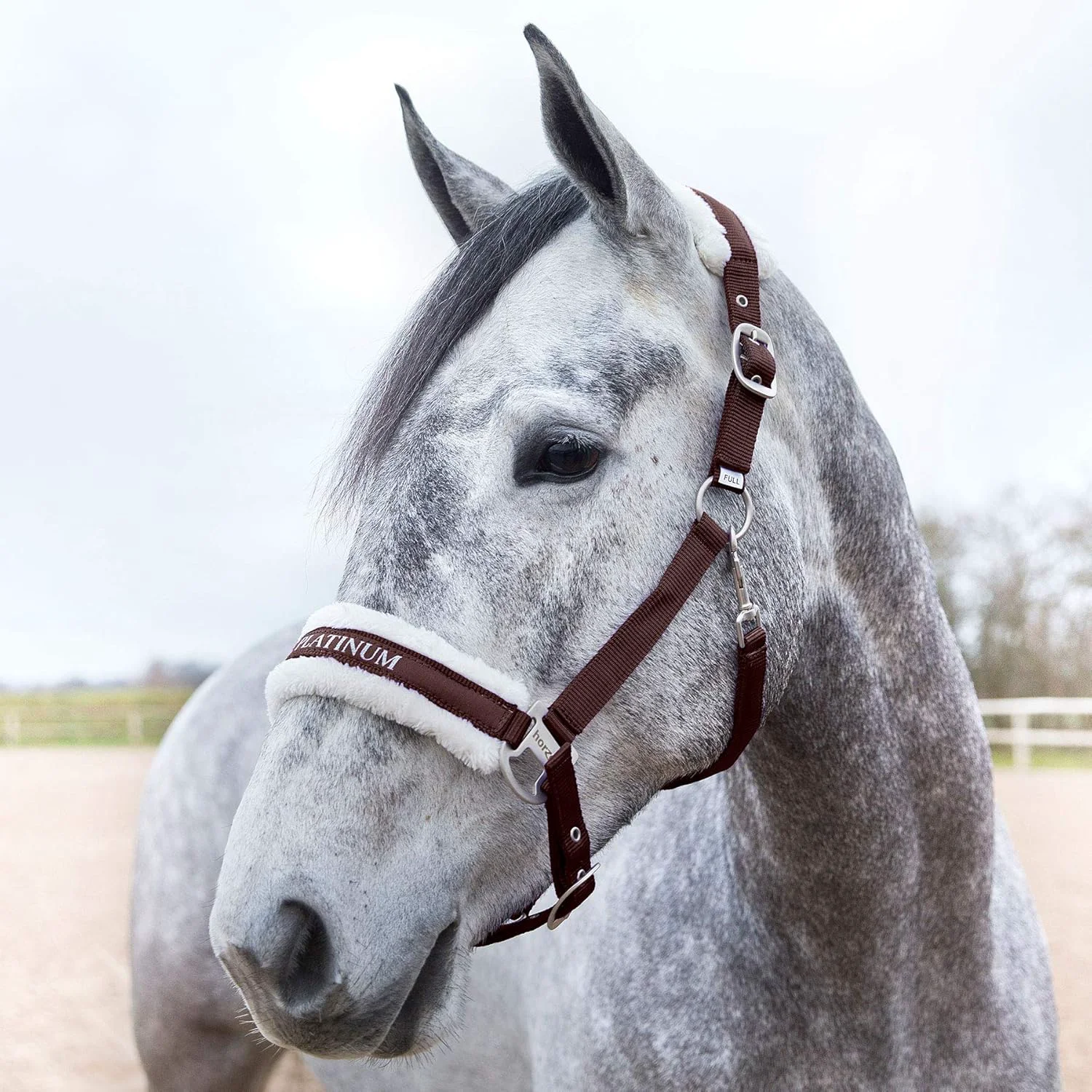 Enhanced HORZE Howard Soft Fleece Padded Adjustable Polyester Horse Halter - Dark Brown - Cob Modern