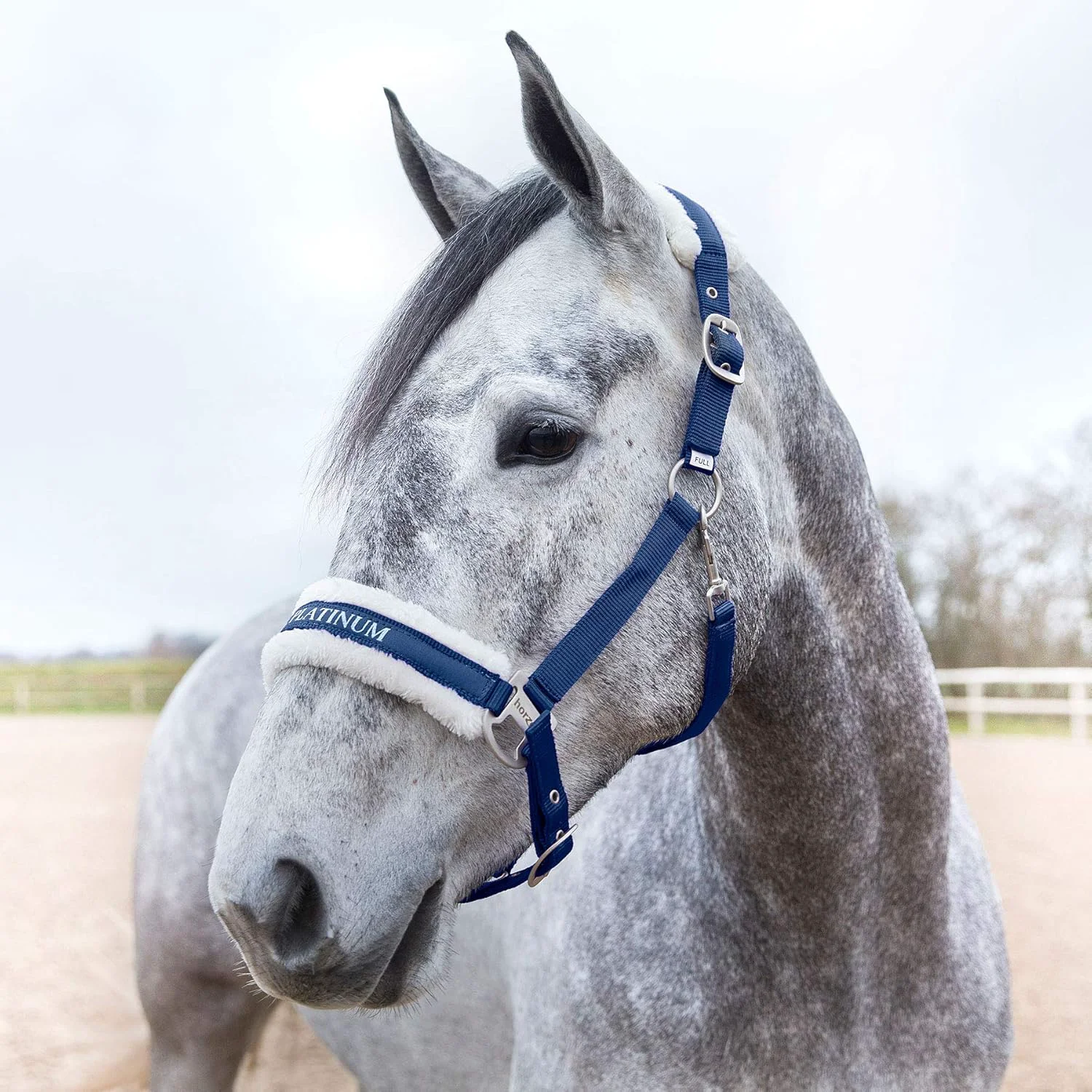 Easy-to-Use HORZE Howard Soft Fleece Padded Adjustable Polyester Horse Halter - Peacoat Dark Blue - Cob High-Performance