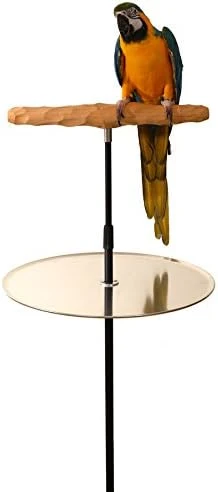 Lightweight Parrot Training Perch Stand Exclusive