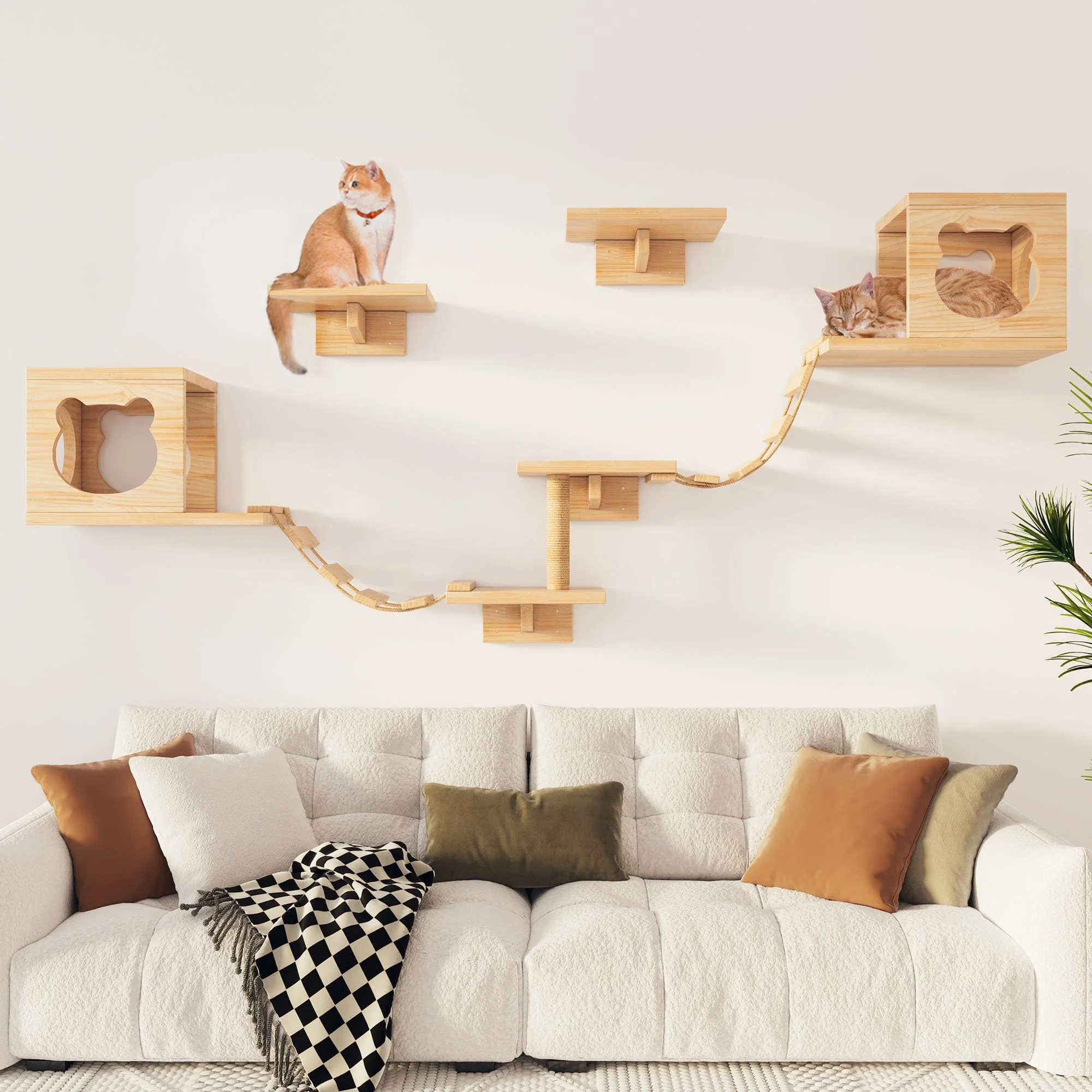 World-Class PETKABOO Cat Wall Shelves Perches by Aoparts – Pine Wood Climber Set Quality