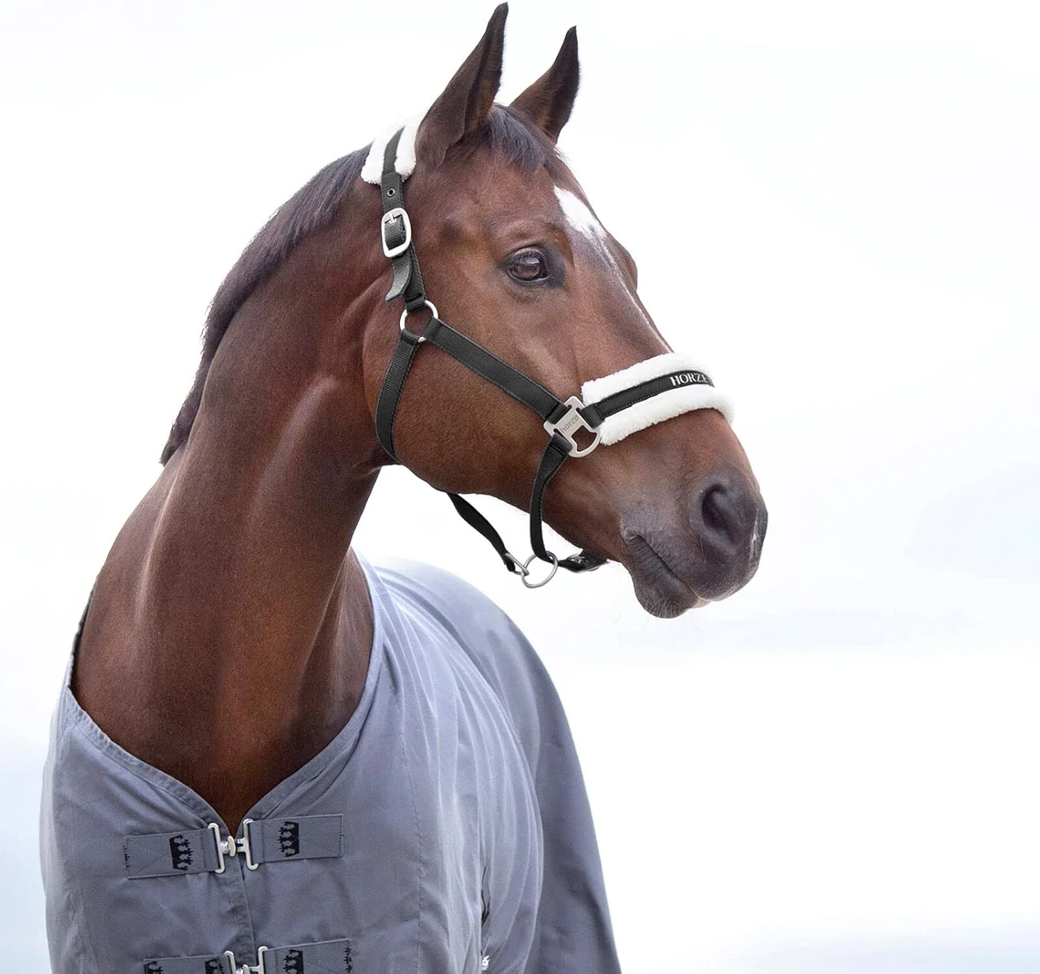 Certified HORZE Howard Soft Fleece Padded Adjustable Polyester Horse Halter - Black - Pony Recyclable