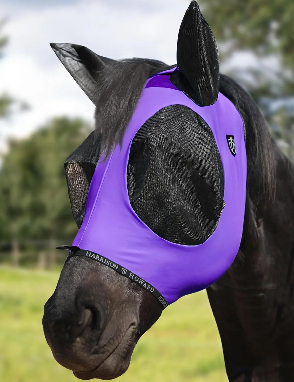 Recyclable Harrison Howard Horse Fly Mask with Forelock Opening Stretch Breathable and Comfortable for Horses UV -Protection Purple M Premium Material