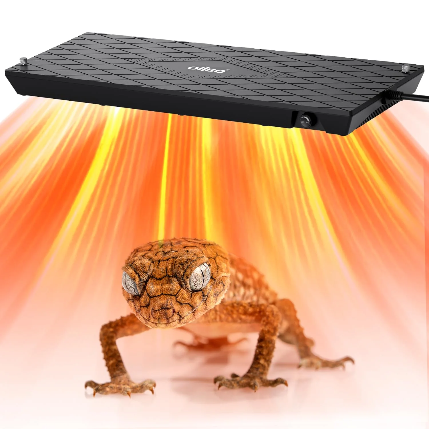 Relaxed Oiibo Reptile Heat Panel – Adjustable Non-Light Terrarium Heating Safe