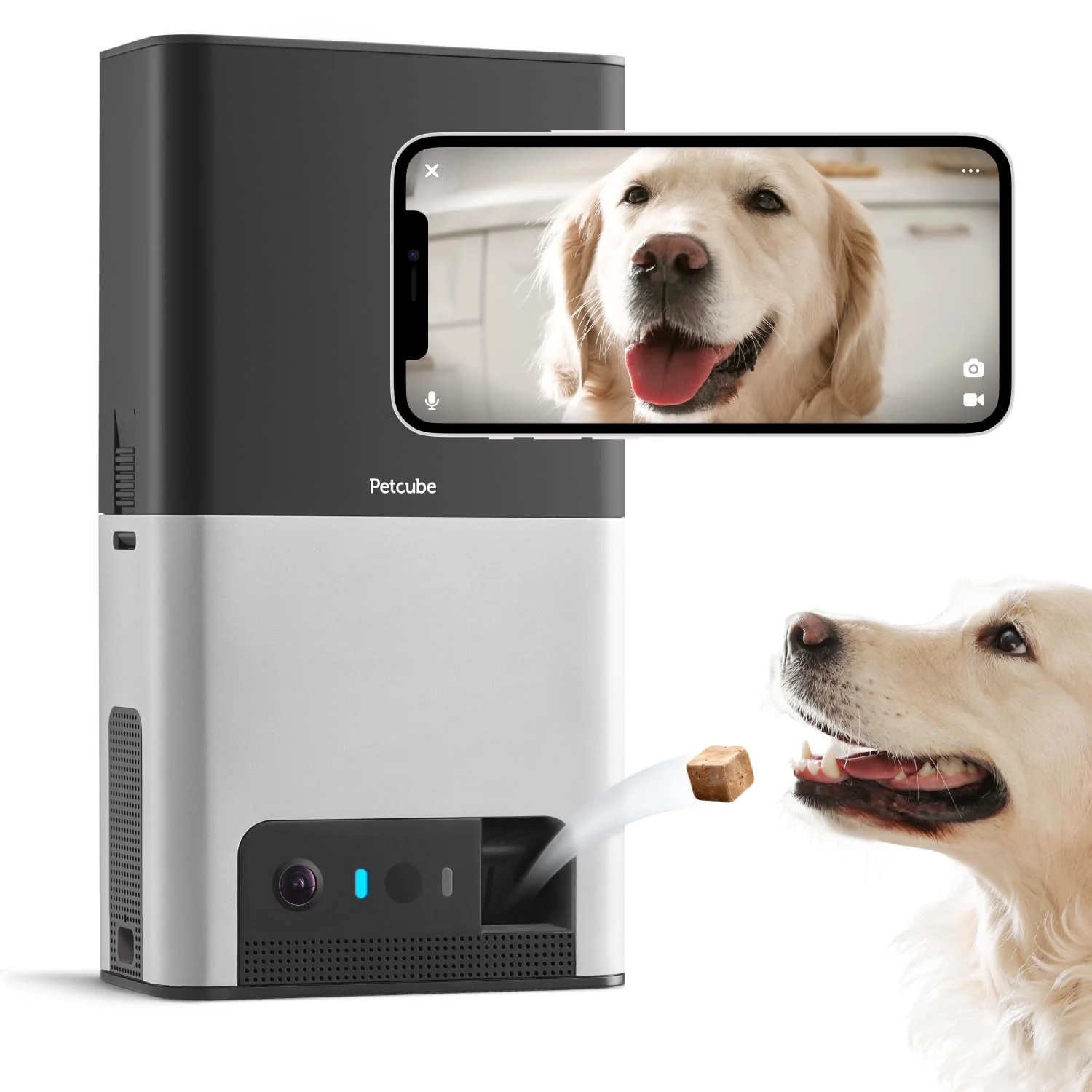 Soft Petcube Bites 2 Wi-Fi Pet Camera with Treat Dispenser Alexa Built-in 1080p HD 160° View Contemporary