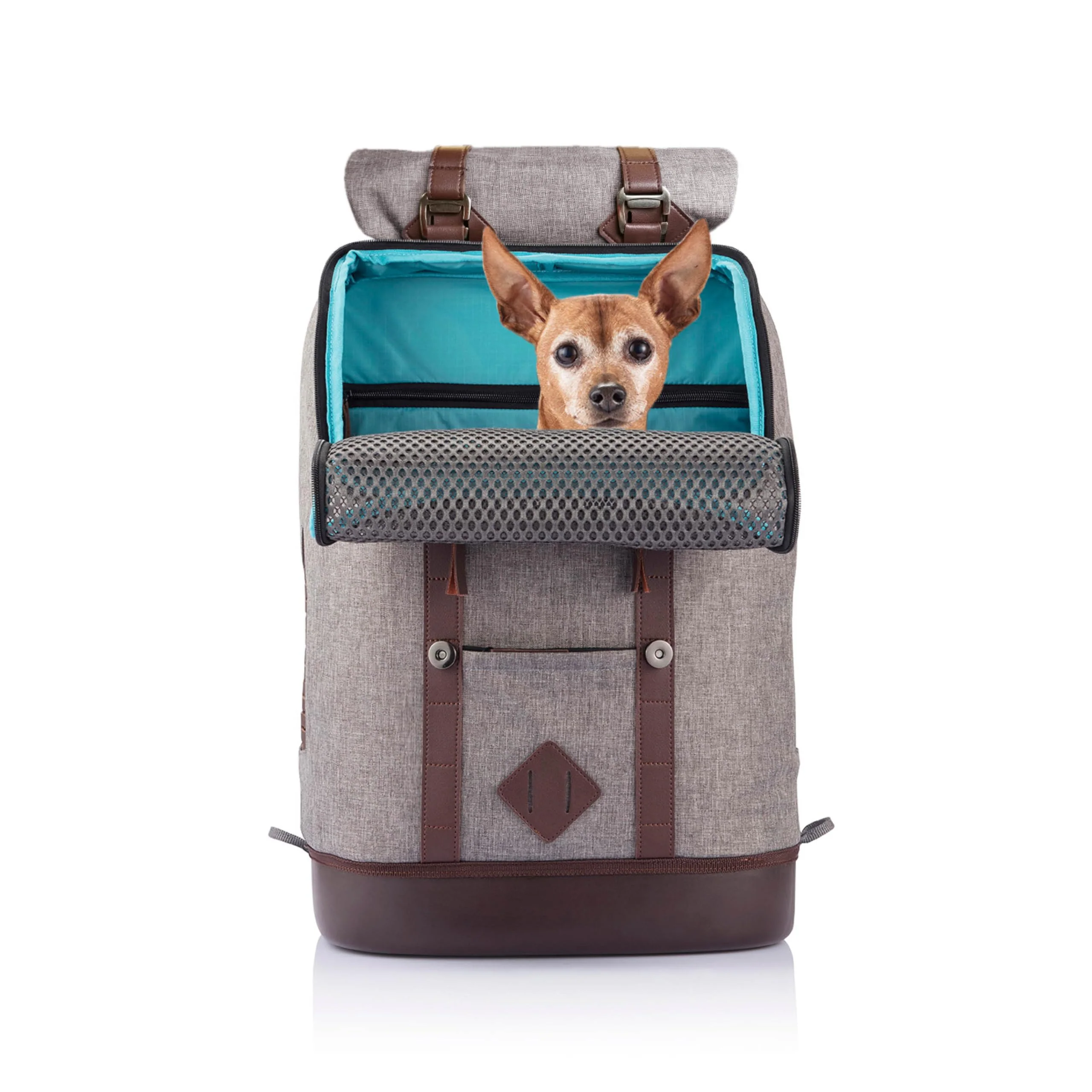 First-Class Kurgo Dog Carrier Backpack for Small Pets – Hands- Travel Convertible Carrier Reusable