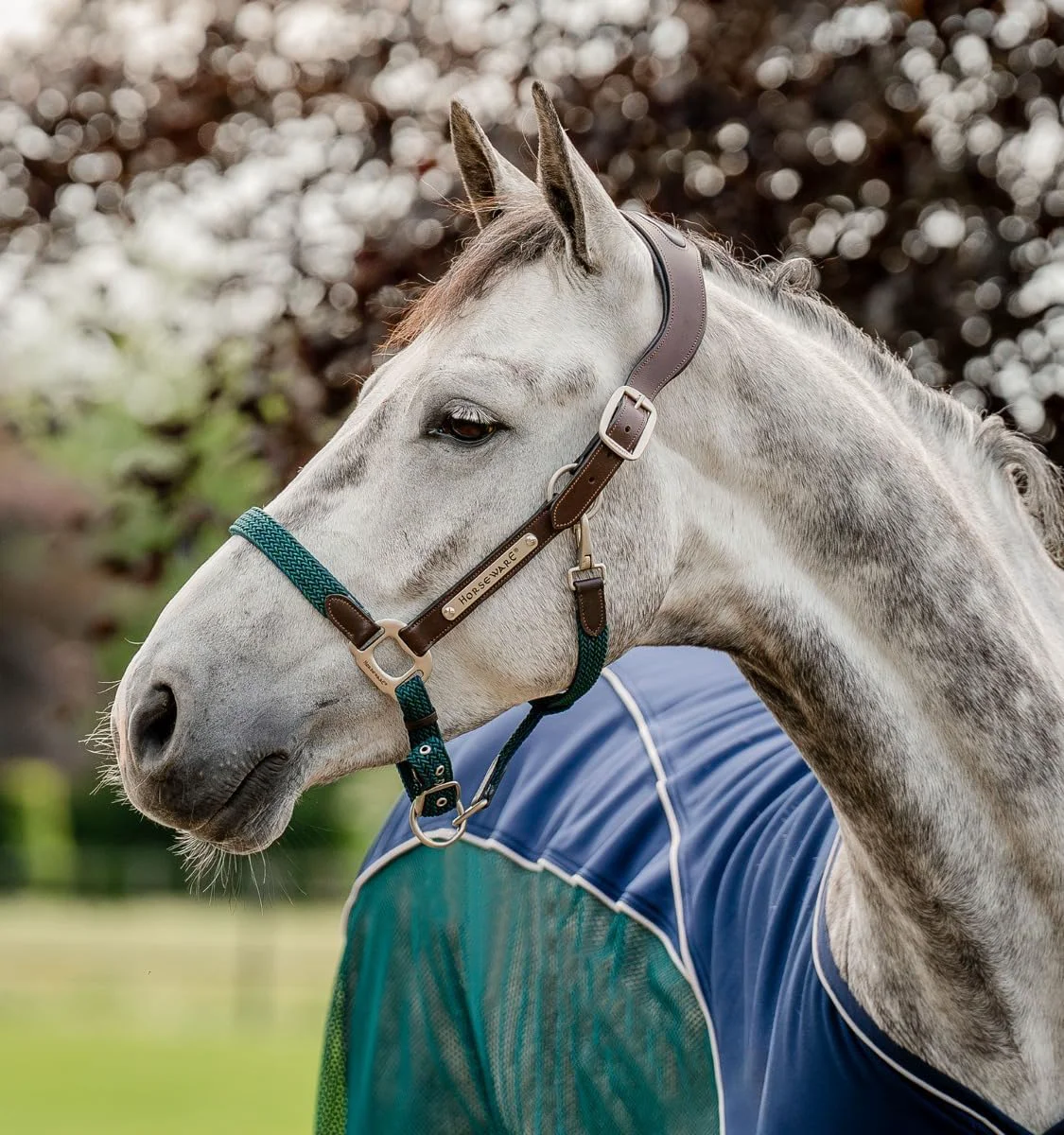 Smart Horseware® Signature Braided Halter Certified