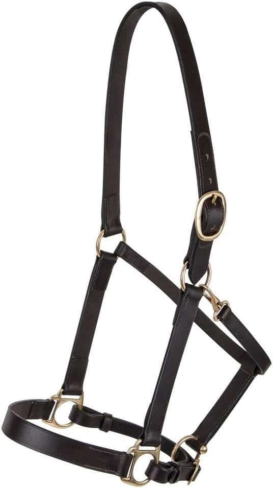 Luxury Dura-Tech Premier Lancaster Leather Halter for Horses Simple Economy Leather Halter with Adjustable Fit Solid Brass Hardware Casual