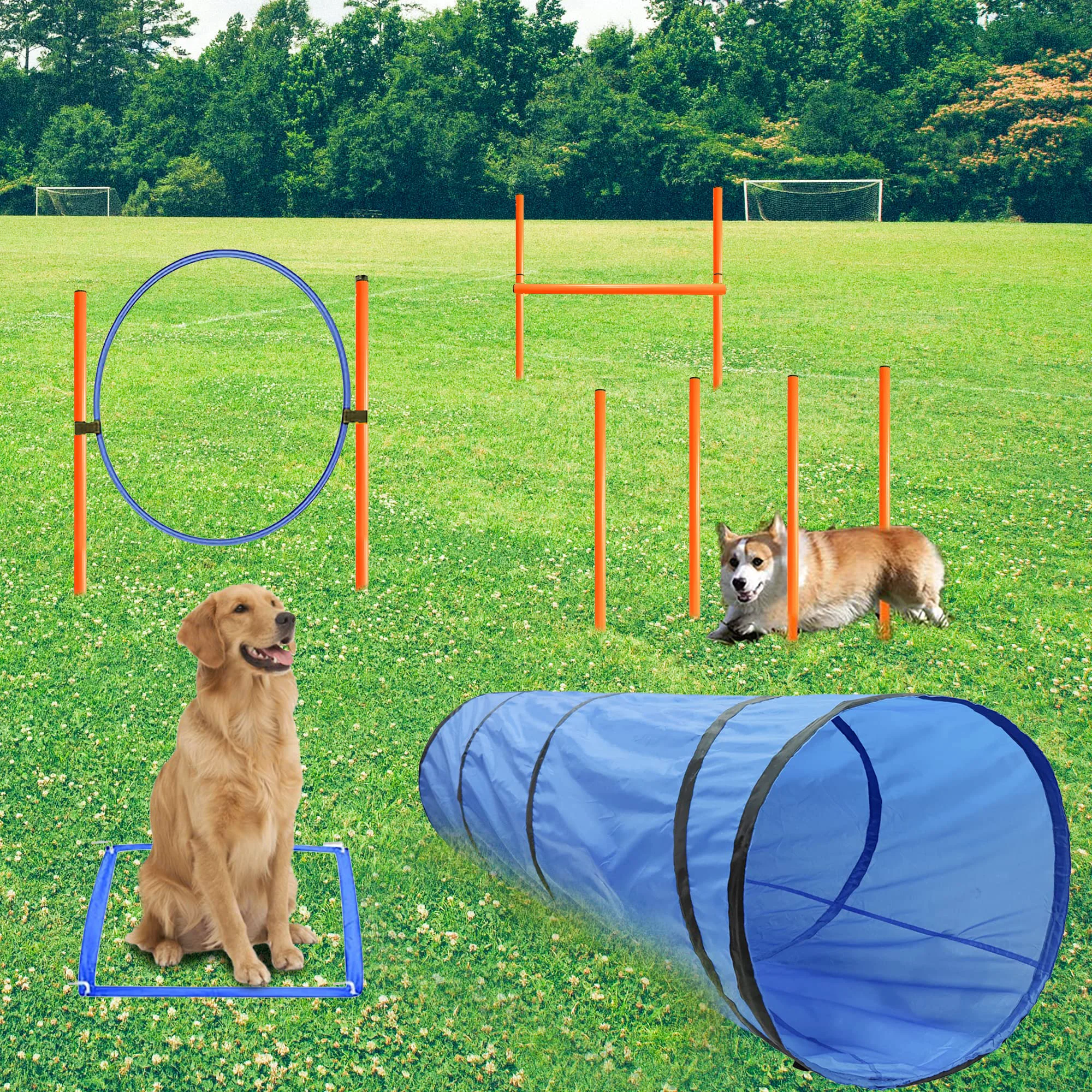 Enhanced GeerDuo Dog Agility Training Equipment Kit – Tunnel 13 Weave Poles Adjustable Hurdle Jump Ring Blue User-Friendly