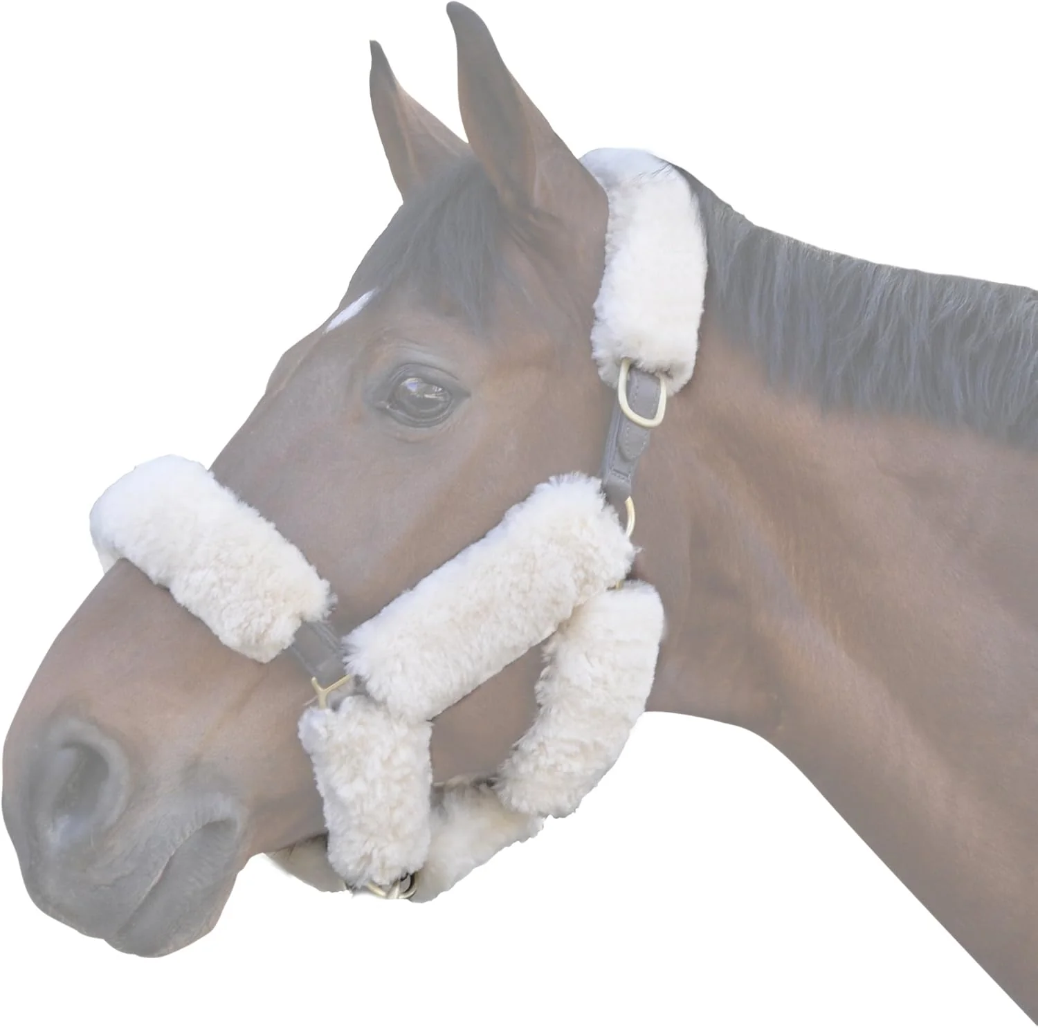 Proven ECP Equine Comfort Products Merino Sheepskin Halter Fleece Consistent