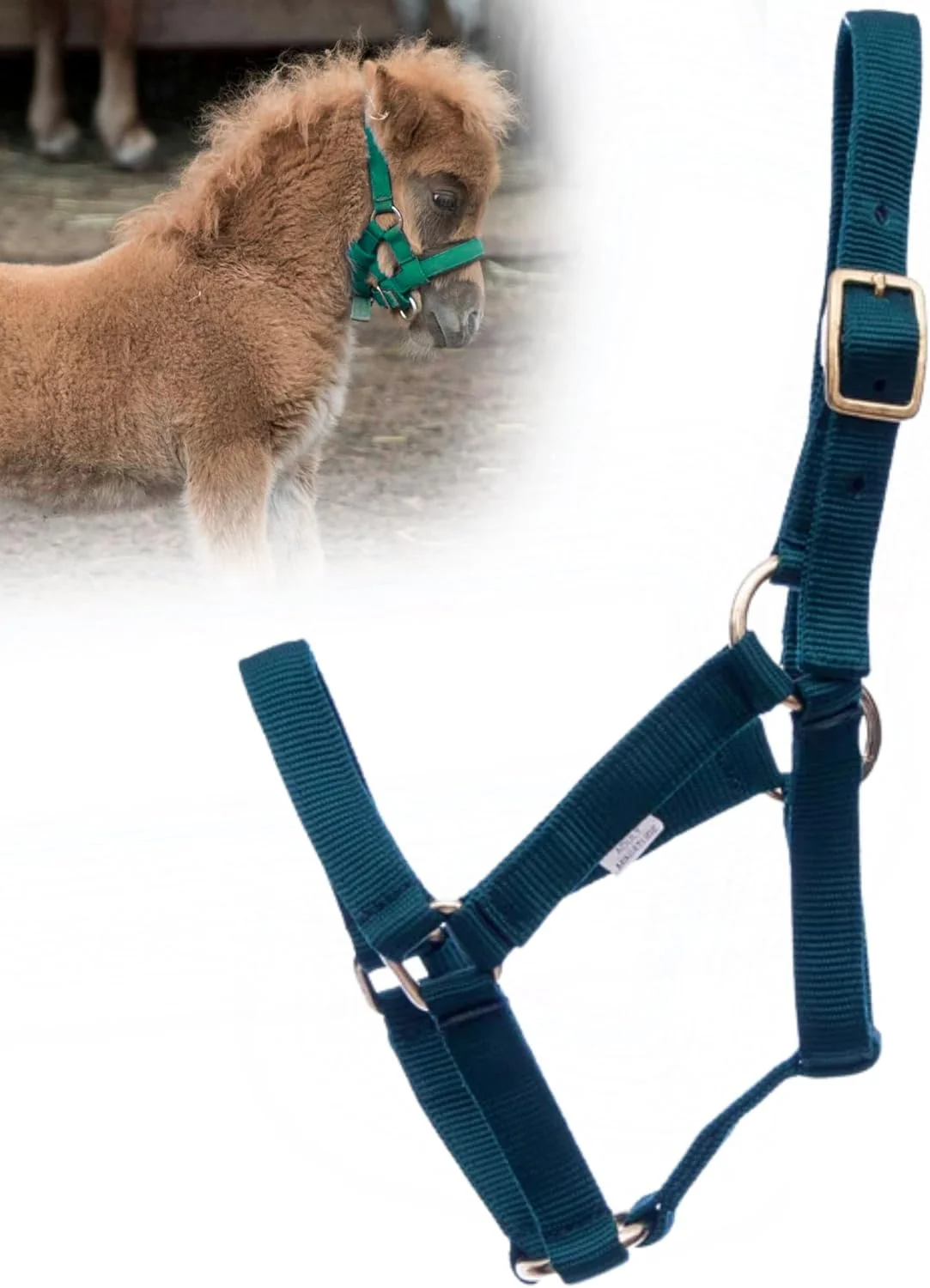 First-Class Jeffers Equine Mini Horse Halter – 3 4 Nylon Adjustable Halter for Miniature Horses Ponies Under 200 lbs – Heavy Duty Hardware Secure Fit for Training Turnout Grooming Travel – Dark Green Functional
