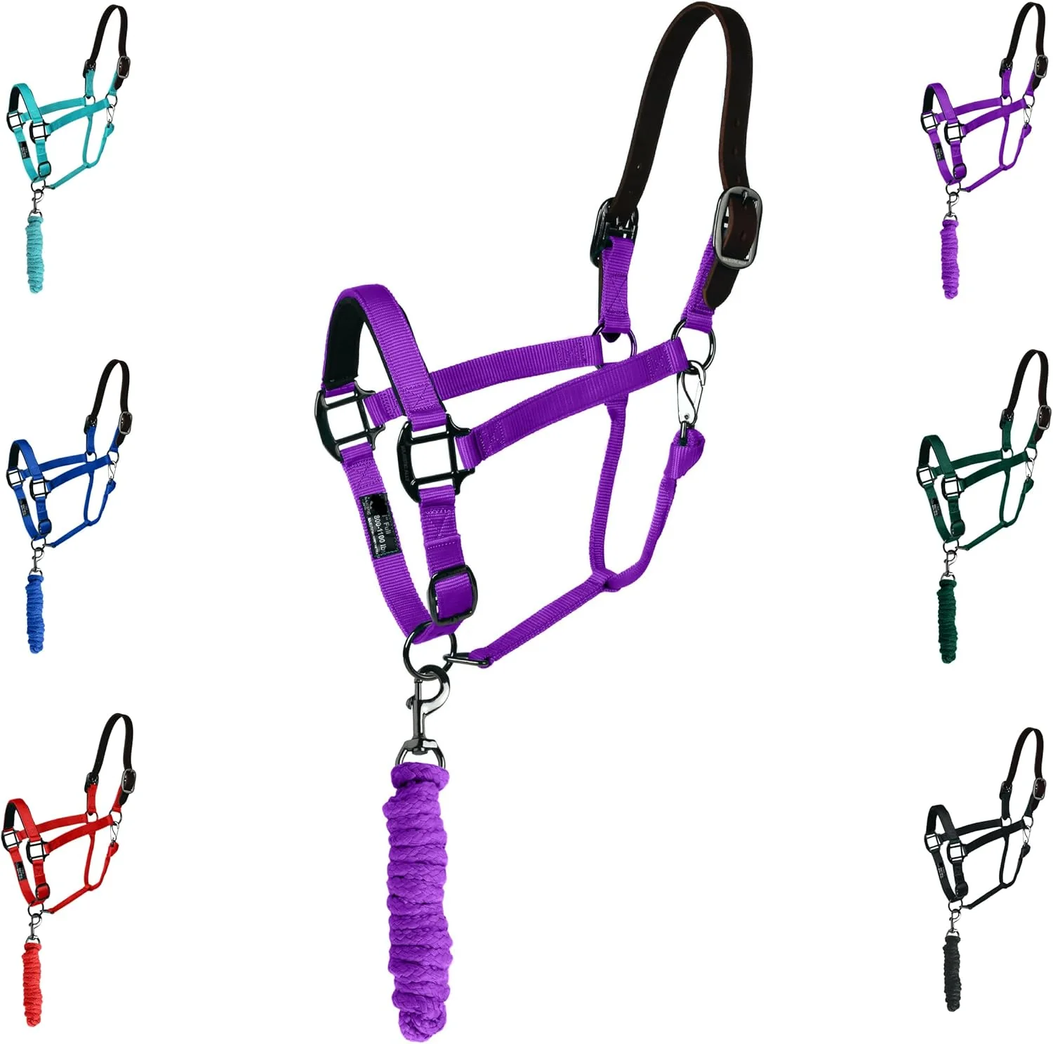 Sophisticated Majestic Ally Leather Halter with Matching Lead Rope for Horses – Leather Breakaway Crown - Adjustable Chin Strap – Rolled Throat Latch – Padded Noseband – Full Purple Full Advanced