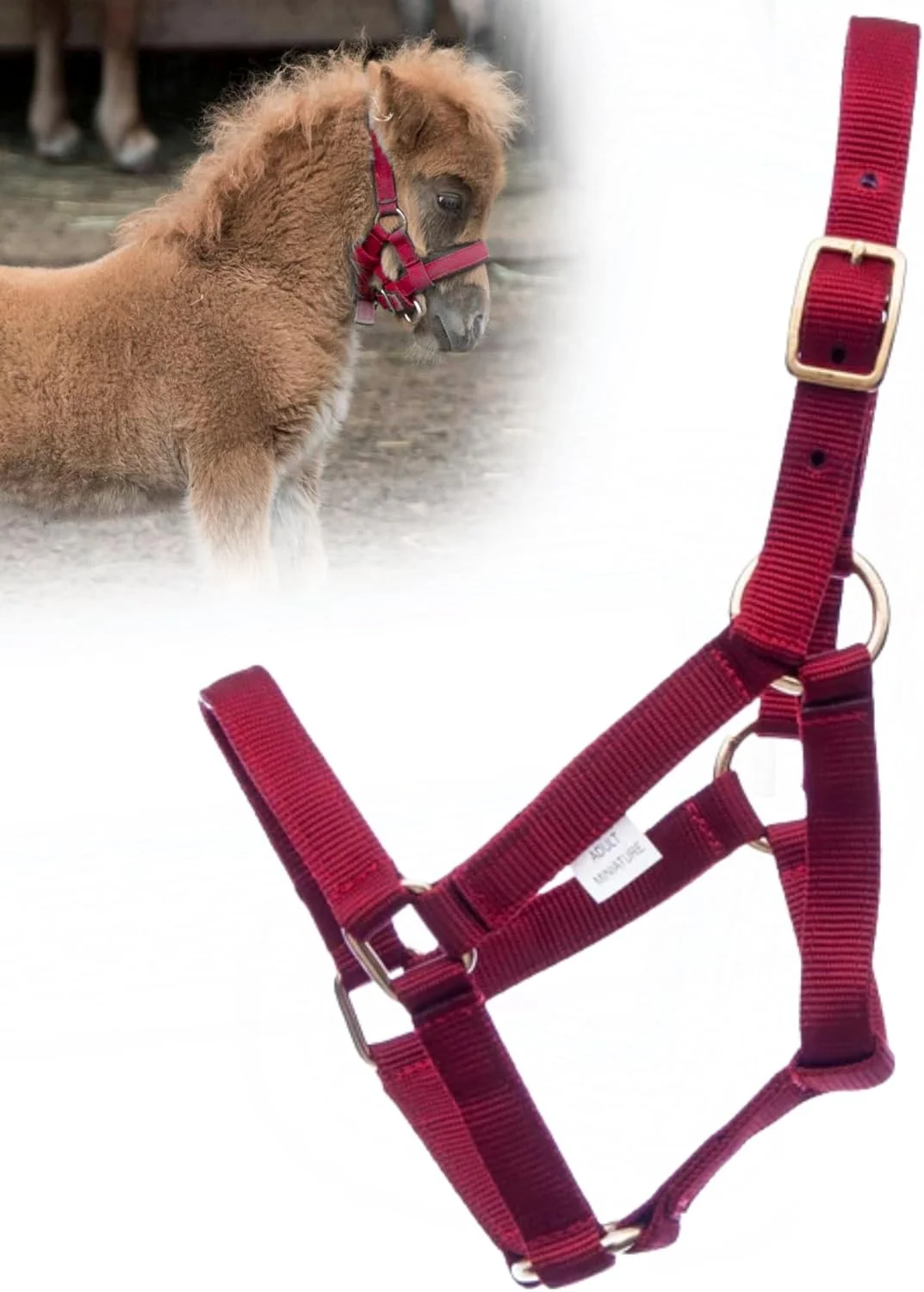 Luxury Jeffers Equine Mini Horse Halter – 3 4 Nylon Adjustable Halter for Miniature Horses Ponies Under 300 lbs – Heavy Duty Hardware Secure Fit for Training Turnout Grooming Travel – Red Convenient