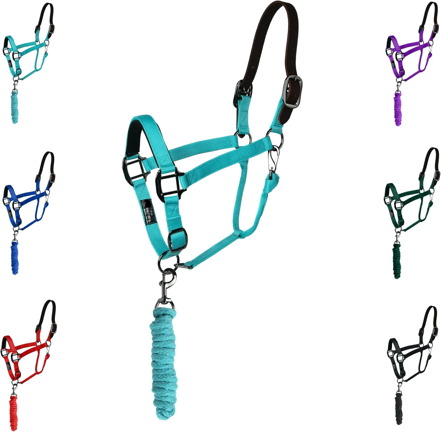 Smooth Majestic Ally Leather Halter with Matching Lead Rope for Horses – Leather Breakaway Crown - Adjustable Chin Strap – Rolled Throat Latch – Padded Noseband – Full Turquoise-Black Nickel Full Detailed