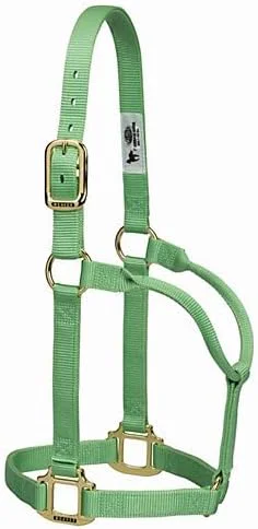 Responsible Weaver Equine Nylon Horse Halter Triple-Ply Cheek Design Non Adjustable Halters for Horses Equine Tack Average Size Black Reliable