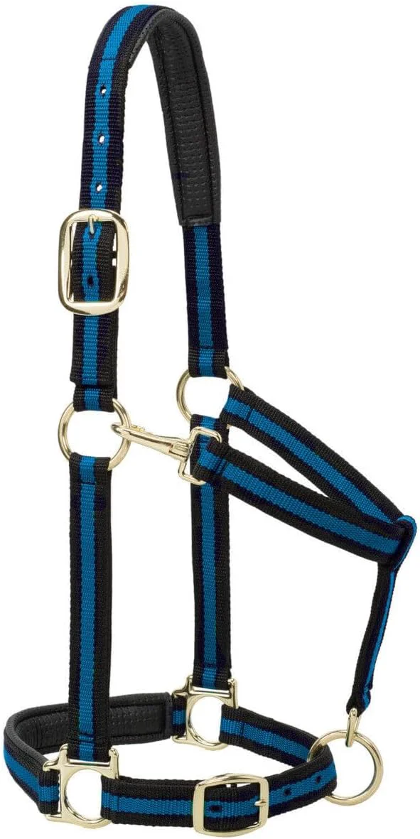 Environmentally Friendly Weaver Equine Nylon Horse Halter Triple-Ply Cheek Design Non Adjustable Halters for Horses Equine Tack Average Size Black Excellent
