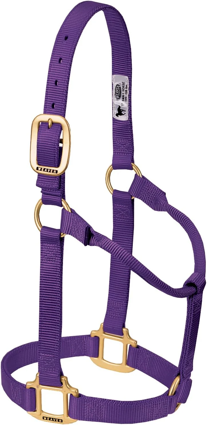 Reliable Weaver Equine Nylon Horse Halter Triple-Ply Cheek Design Non Adjustable Halters for Horses Equine Tack Average Size Black Premium Material