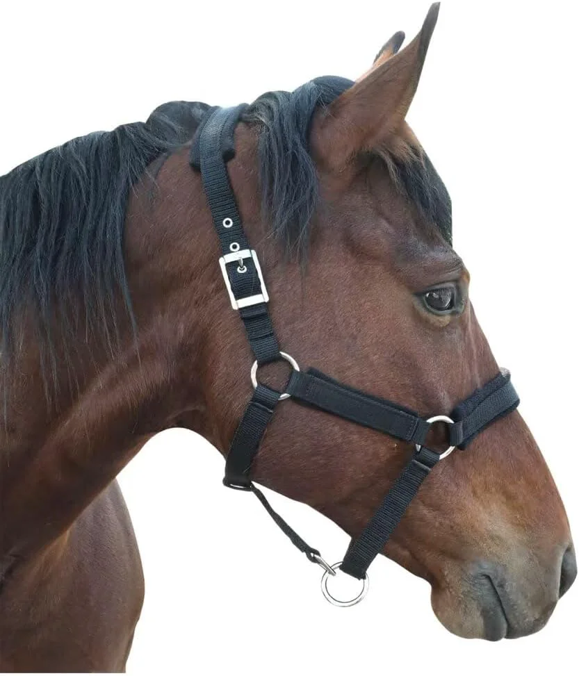 Elite Horse Halter with Wool Lining Adjustable Halter for Horses Satin Hardware to Prevent Friction Breakaway Halters for Horses for Traction and Performance Minimalist