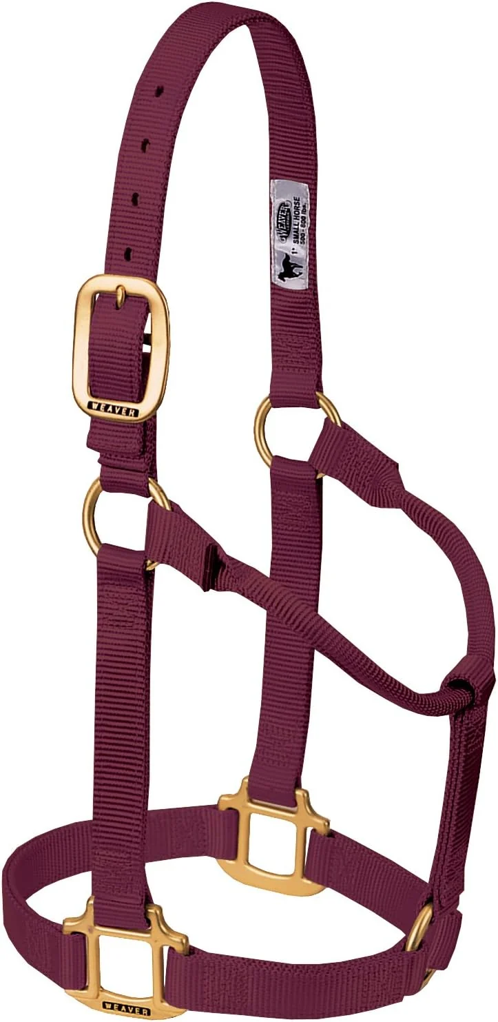 Fine Crafted Weaver Equine Nylon Horse Halter Triple-Ply Cheek Design Non Adjustable Halters for Horses Equine Tack Average Size Black Pure