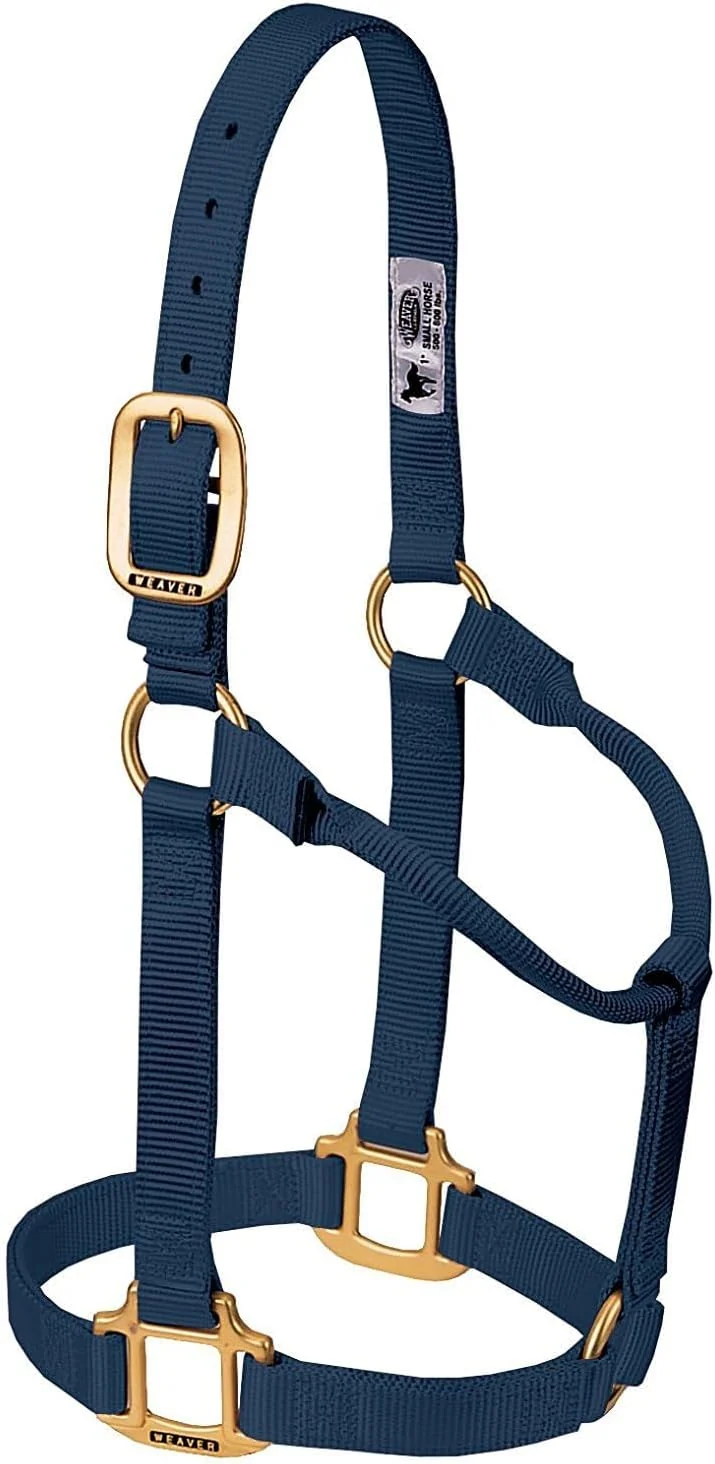 Recyclable Weaver Equine Nylon Horse Halter Triple-Ply Cheek Design Non Adjustable Halters for Horses Equine Tack Average Size Black Proven