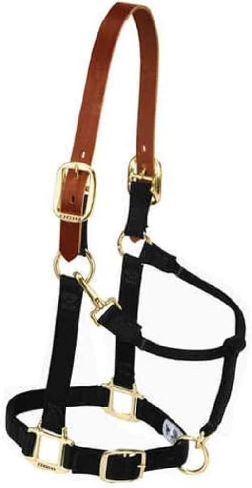 Pure Weaver Equine Nylon Horse Halter Triple-Ply Cheek Design Non Adjustable Halters for Horses Equine Tack Average Size Black Premium