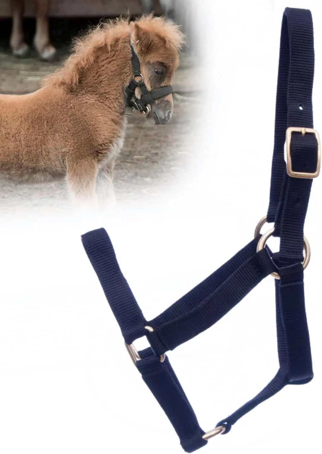 Fashionable Jeffers Equine Mini Horse Halter – 3 4 Nylon Adjustable Halter for Miniature Horses Ponies Under 200 lbs – Heavy Duty Hardware Secure Fit for Training Turnout Grooming Travel – Black Stylish