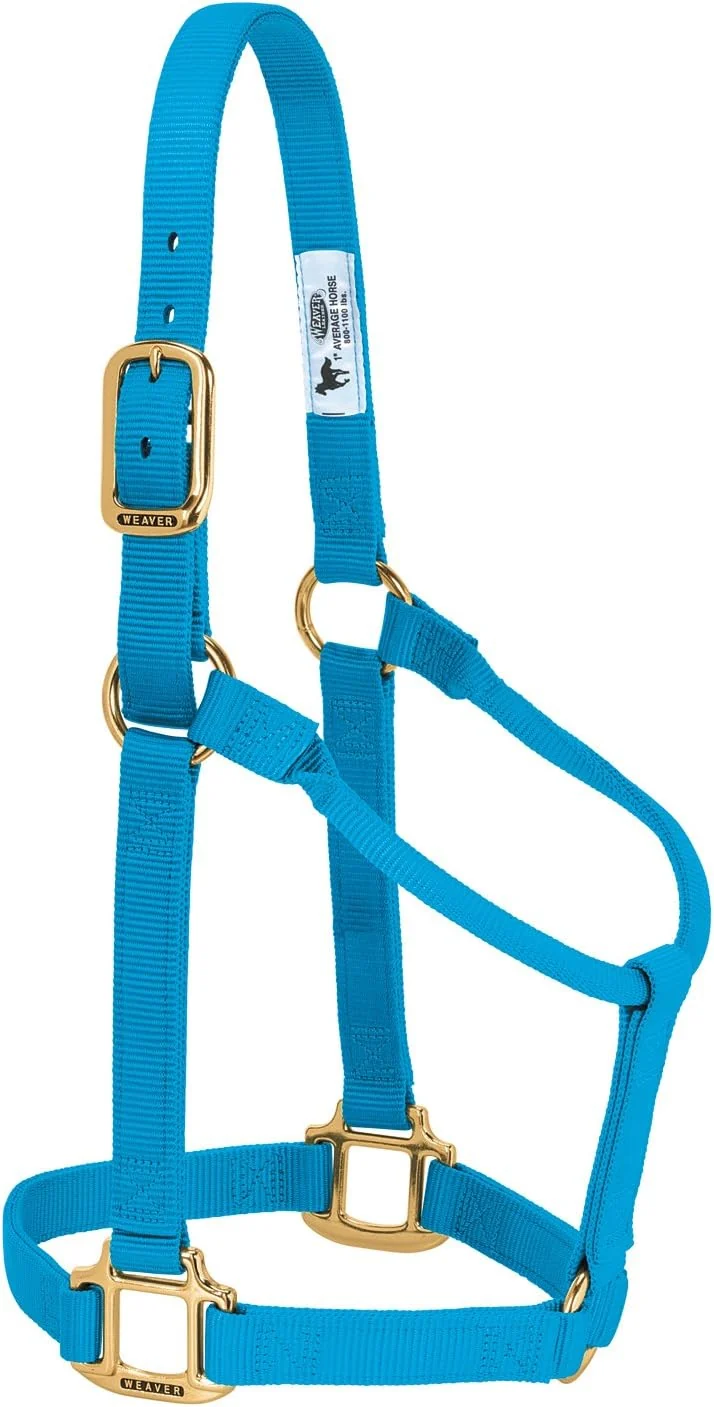Effective Weaver Equine Nylon Horse Halter Triple-Ply Cheek Design Non Adjustable Halters for Horses Equine Tack Average Size Black Secure