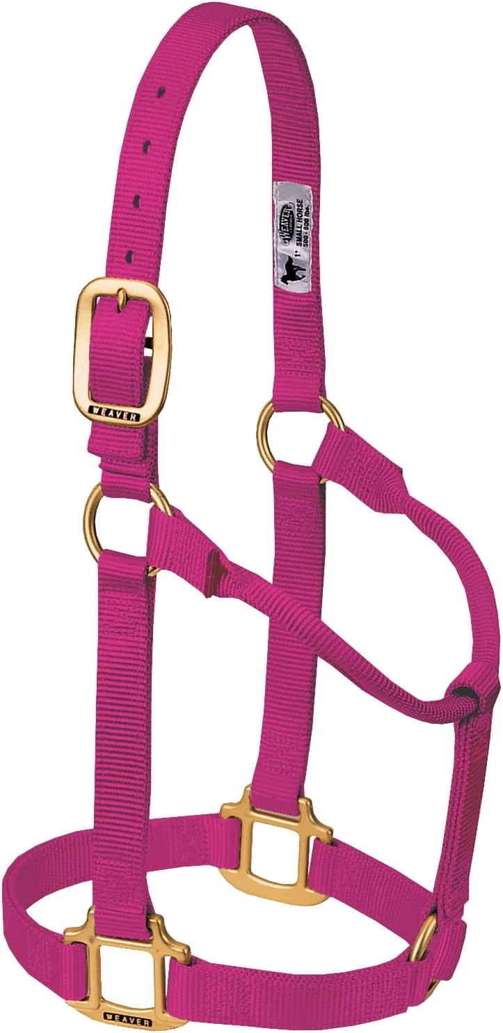 Prestigious Weaver Equine Nylon Horse Halter Triple-Ply Cheek Design Non Adjustable Halters for Horses Equine Tack Average Size Black Natural