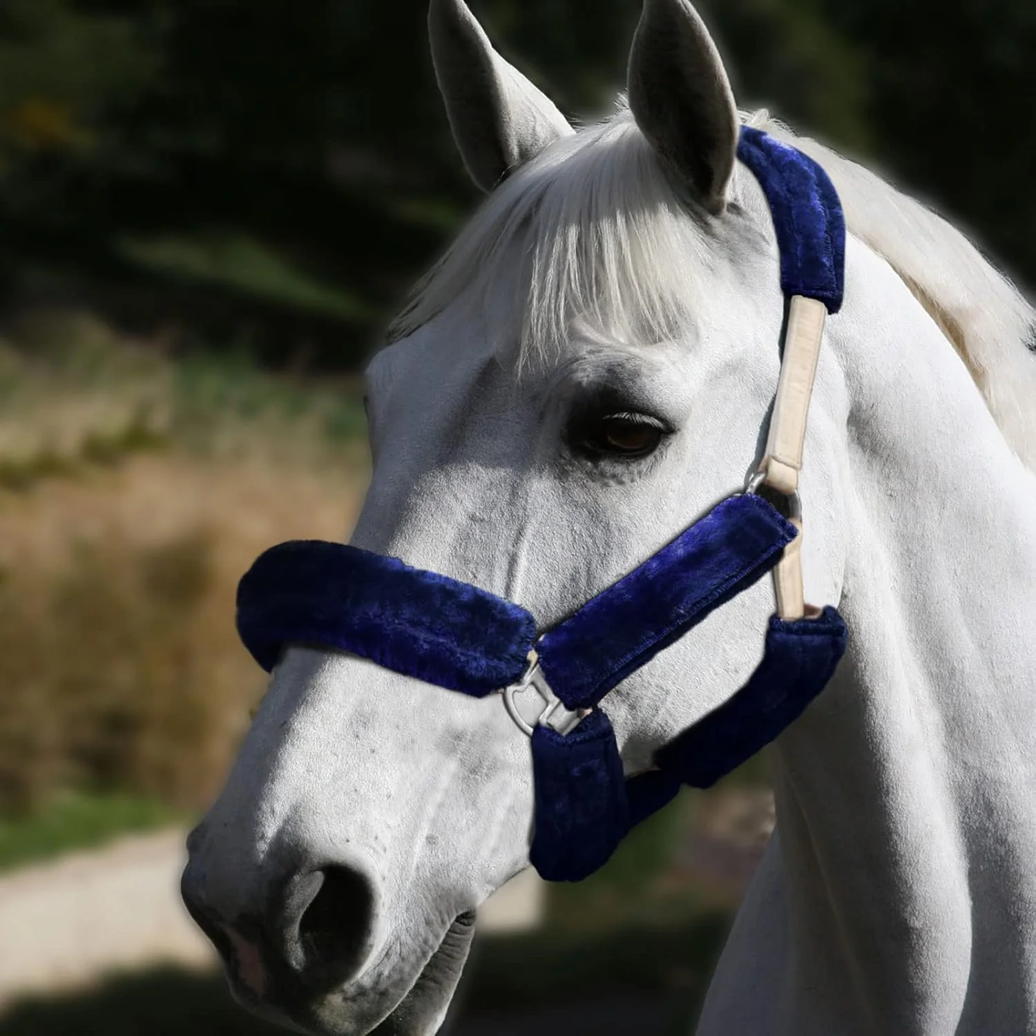 Dependable Harrison Howard Horse Halter Fleece Cover Set 9 Pieces Secure