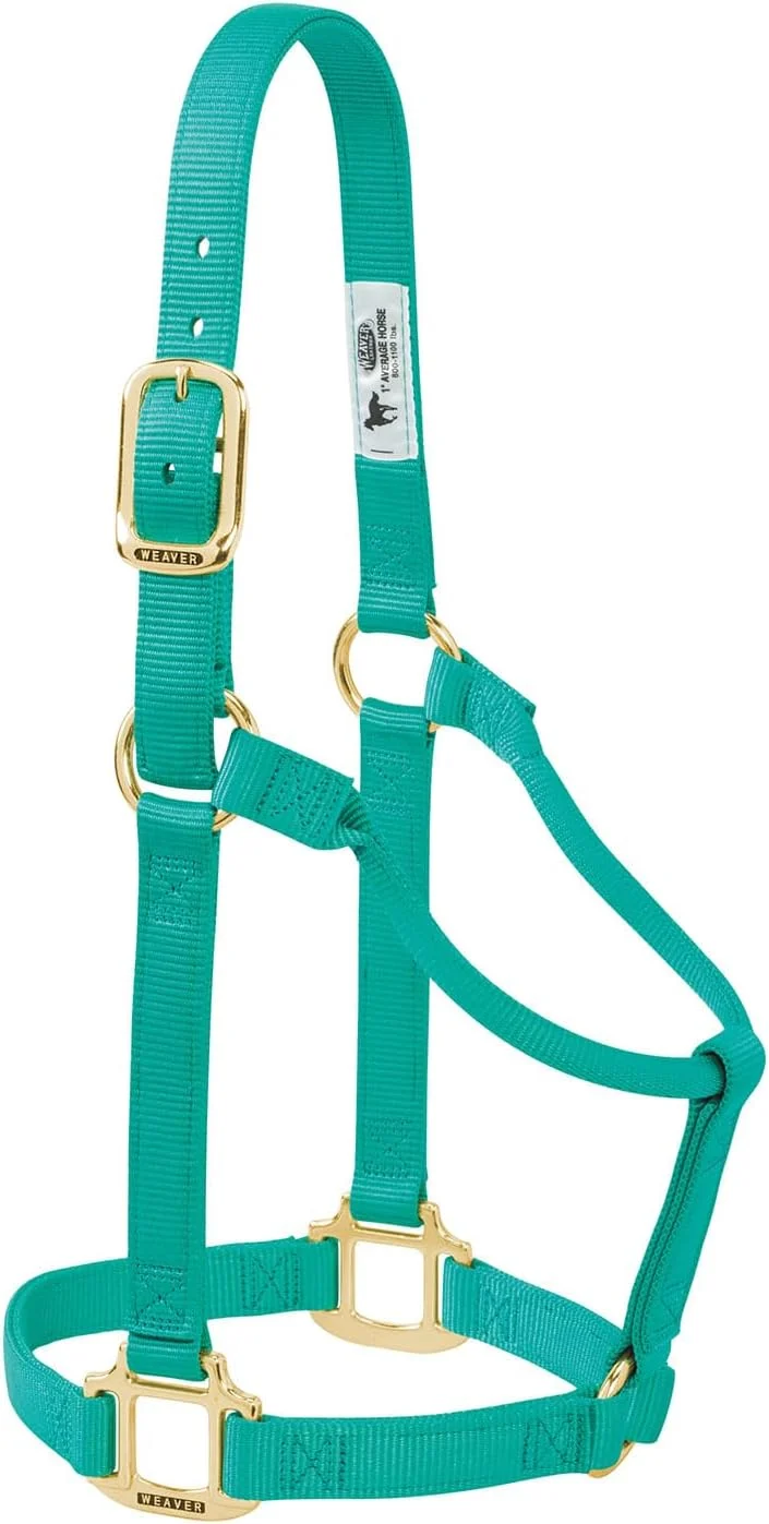 Recyclable Weaver Equine Nylon Horse Halter Triple-Ply Cheek Design Non Adjustable Halters for Horses Equine Tack Average Size Black Smart