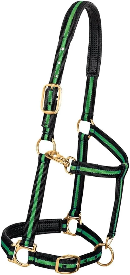 Environmentally Friendly Weaver Equine Nylon Horse Halter Triple-Ply Cheek Design Non Adjustable Halters for Horses Equine Tack Average Size Black First-Class