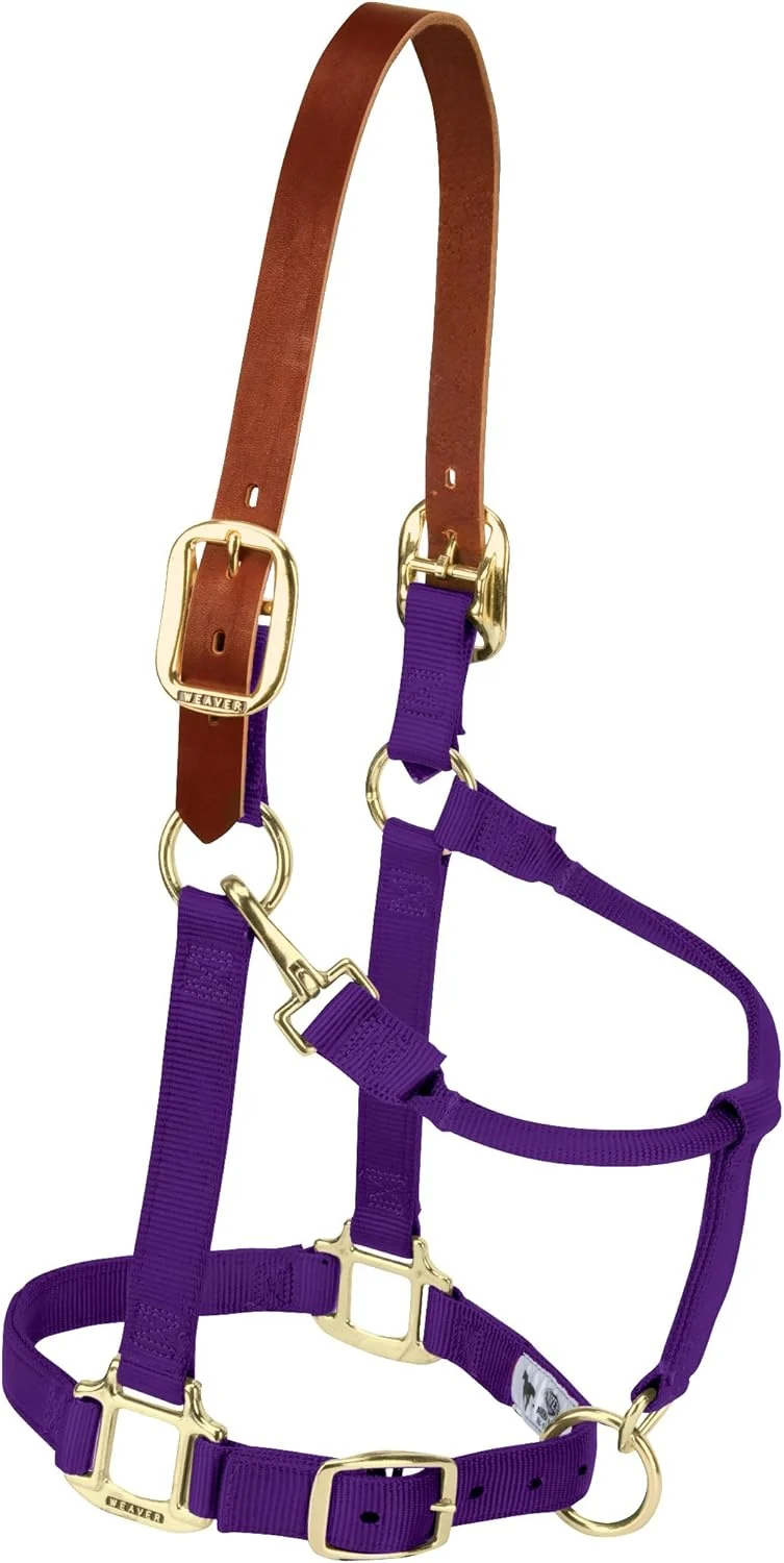 Breathable Weaver Equine Nylon Horse Halter Triple-Ply Cheek Design Non Adjustable Halters for Horses Equine Tack Average Size Black Versatile