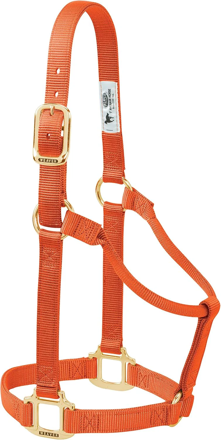 Traditional Weaver Equine Nylon Horse Halter Triple-Ply Cheek Design Non Adjustable Halters for Horses Equine Tack Average Size Black Environmentally Friendly