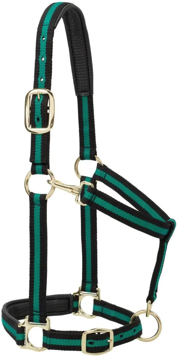 User-Friendly Weaver Equine Nylon Horse Halter Triple-Ply Cheek Design Non Adjustable Halters for Horses Equine Tack Average Size Black Long-Lasting