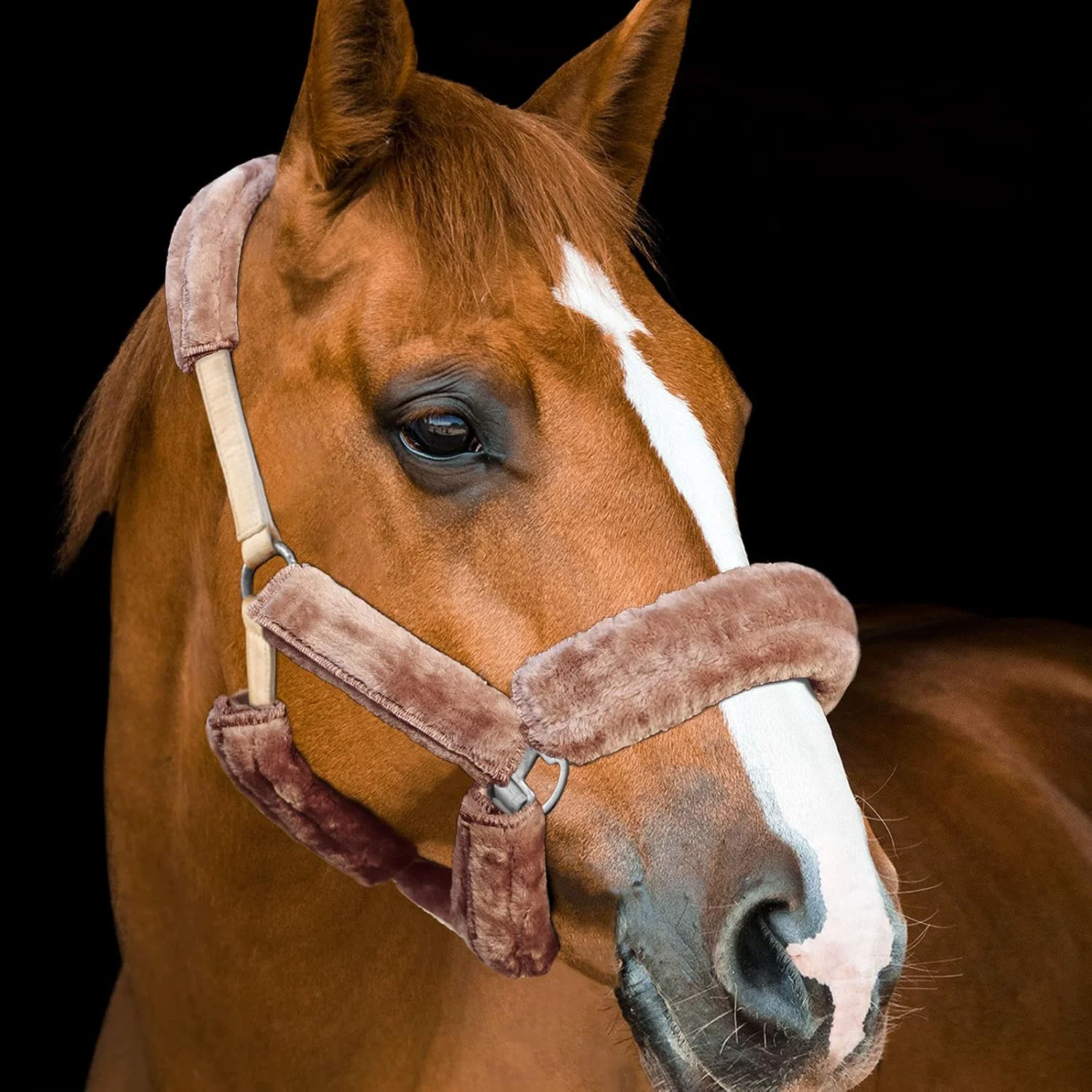 Flexible Harrison Howard Horse Halter Fleece Cover Set 9 Pieces Artisan