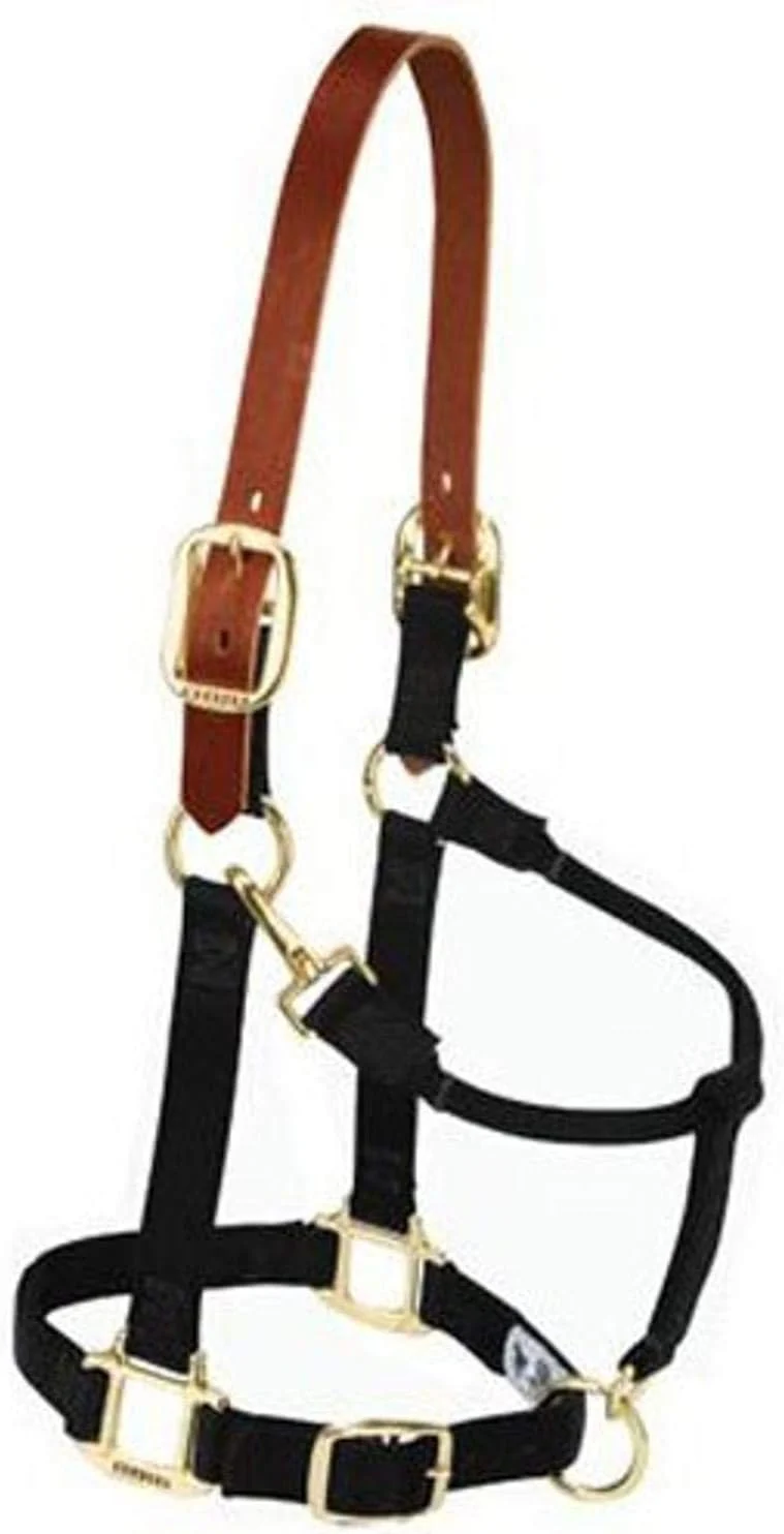 Safe Weaver Equine Breakaway Horse Halter Supple Leather Crown Adjustable Chin Throat Snap Halters for Horses Equine Tack Superior