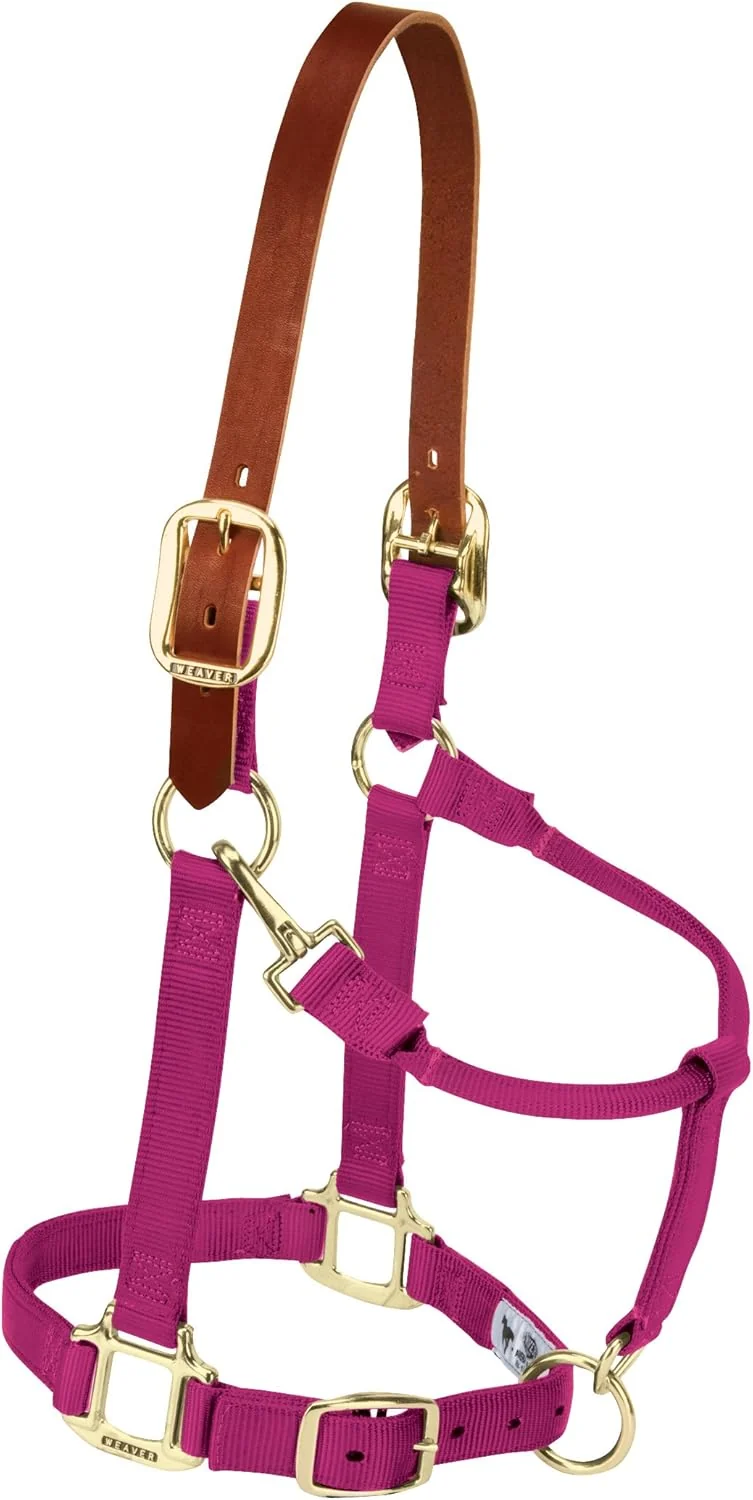 World-Class Weaver Equine Breakaway Horse Halter Supple Leather Crown Adjustable Chin Throat Snap Halters for Horses Equine Tack Relaxed