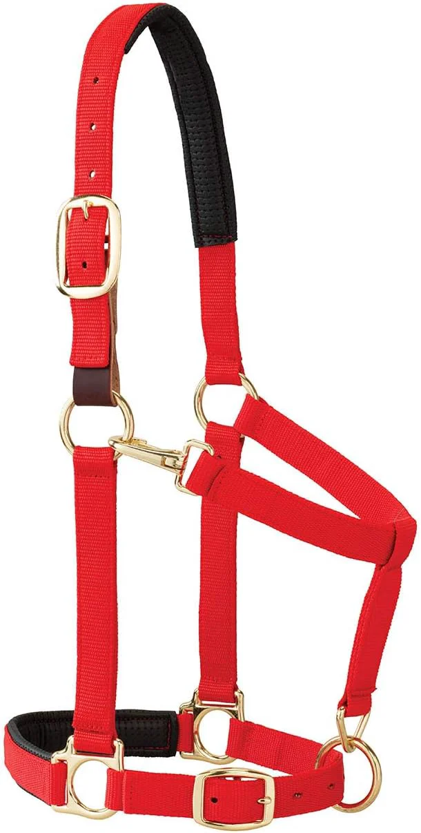 Quality Weaver Equine Breakaway Horse Halter Comfort Foam Padding Adjustable Chin Throat Snap Halters for Horses Equine Tack Average Size Red Contemporary