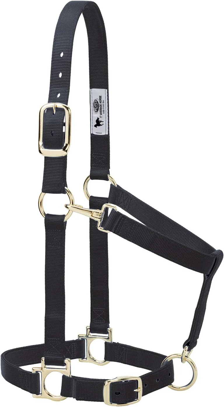 Classic Weaver Leather Nylon Horse Halter Padded and Adjustable Chin and Throat Snap Hook Halters for Horses Brass Plated Halters for Training Unique
