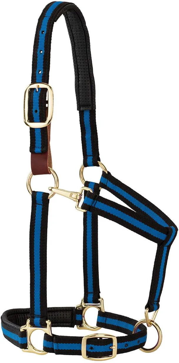 Relaxed Weaver Equine Breakaway Horse Halter Comfort Foam Padding Adjustable Chin Throat Snap Halters for Horses Equine Tack Average Size Blue Classic