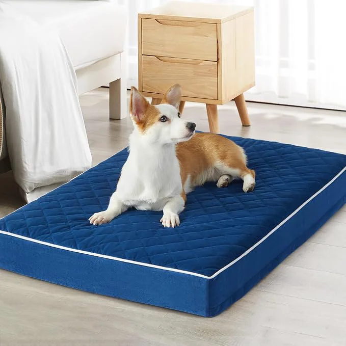 Comfortable WNPETHOME Orthopedic XXL Dog Beds Large Sized Dog Waterproof Extra Large Dogs Relaxed