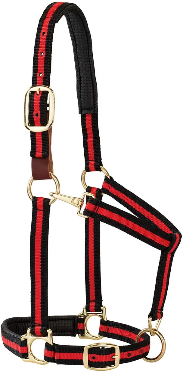 Reusable Weaver Equine Breakaway Horse Halter Comfort Foam Padding Adjustable Chin Throat Snap Halters for Horses Equine Tack Average Size Red User-Friendly