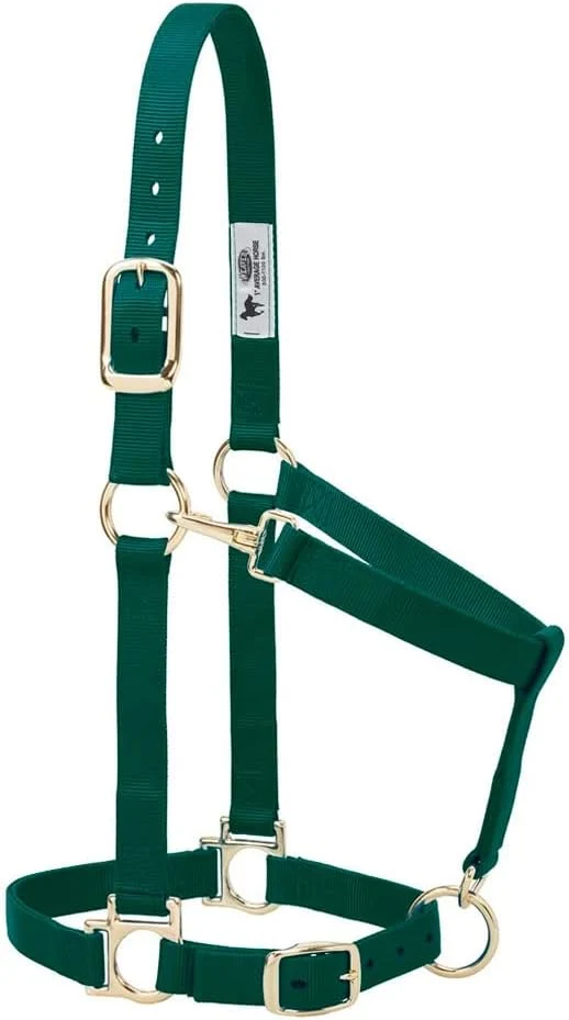 Classic Weaver Leather Nylon Horse Halter Padded and Adjustable Chin and Throat Snap Hook Halters for Horses Brass Plated Halters for Training Crafted