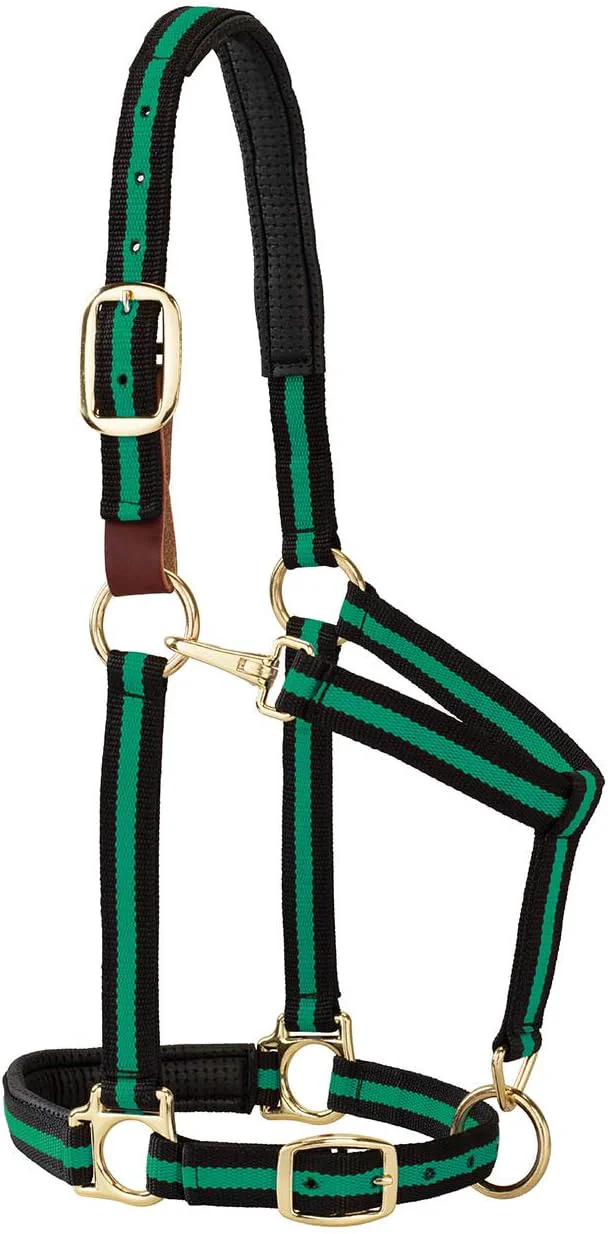 Top-Quality Weaver Equine Breakaway Horse Halter Comfort Foam Padding Adjustable Chin Throat Snap Halters for Horses Equine Tack Average Size Green Trendy