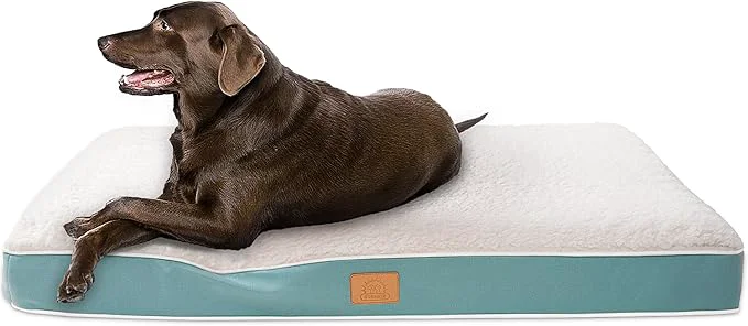 Superior Extra Large Orthopedic Dog Bed for Big Dogs Unique