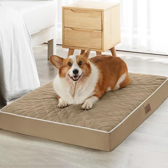 Trusted WNPETHOME Orthopedic XXL Dog Beds Large Sized Dog Waterproof Extra Large Dogs Solid